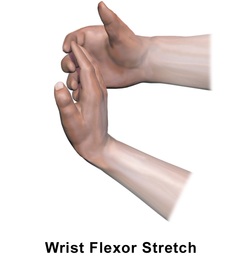 Exercise Wrist Flexor Stretch Health Rns